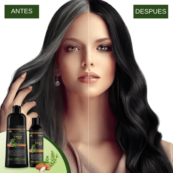 Shampoo  Chao Canas  + Tratamiento 3 en 1