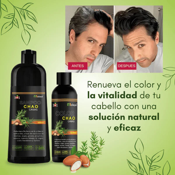 Shampoo  Chao Canas  + Tratamiento 3 en 1