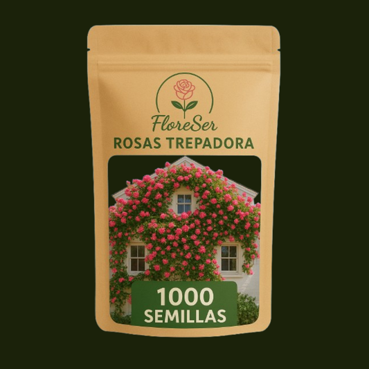 ROSAS TREPADORA 1000 SEMILLAS